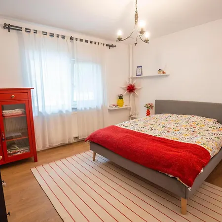 Spacious Near National Arena, Park *