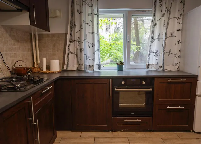 Spacious Near National Arena, Park Appartement
